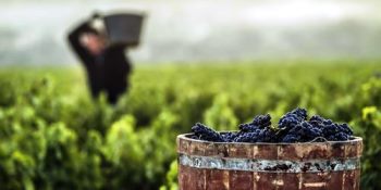 La Rioja La Rioja