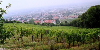 Niederösterreich Niederösterreich