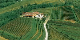 BETULLE -> Friuli Colli Orientali