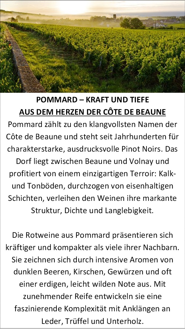 AOC Pommard
